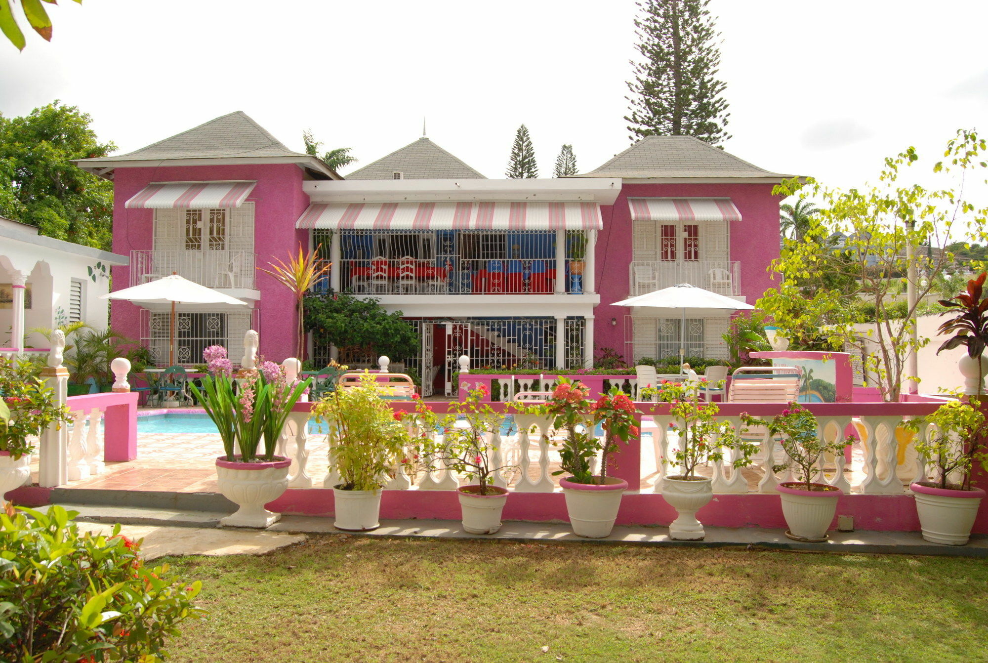 Pinkhibiscus 3* Montego Bay
