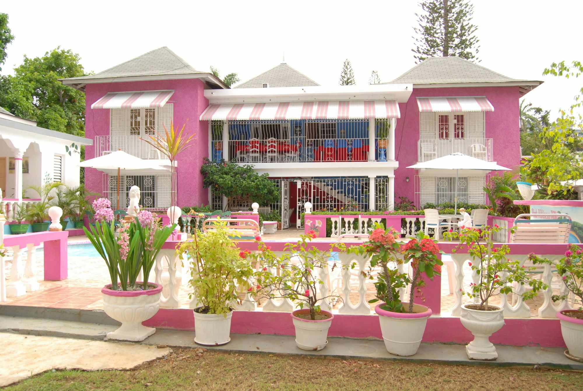 Pinkhibiscus Hotel Montego Bay
