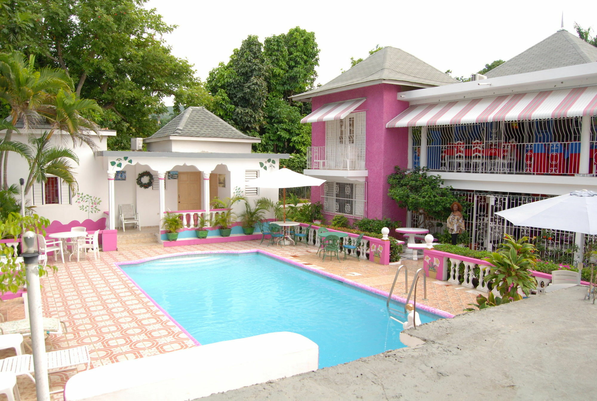 Pinkhibiscus 3*