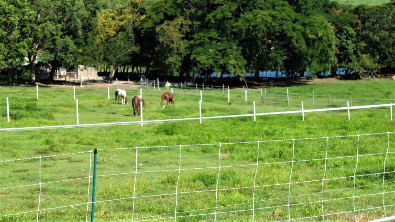 La Ferme Des Etangs *