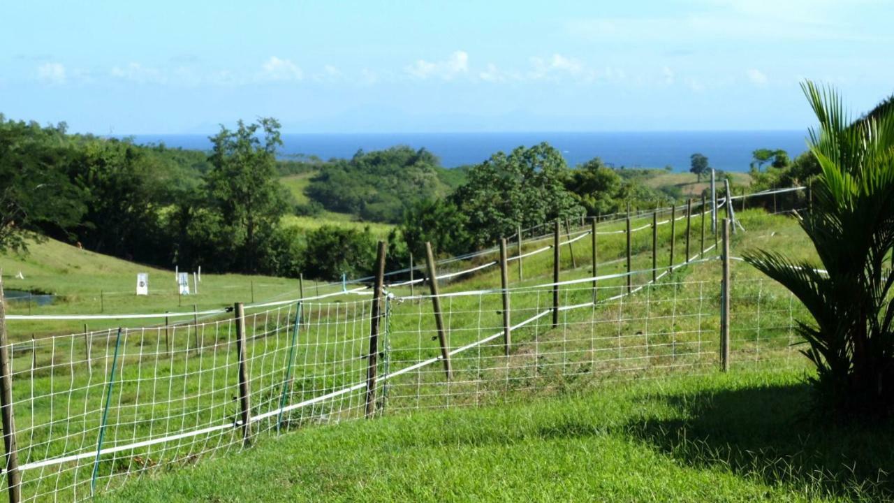 La Ferme Des Etangs