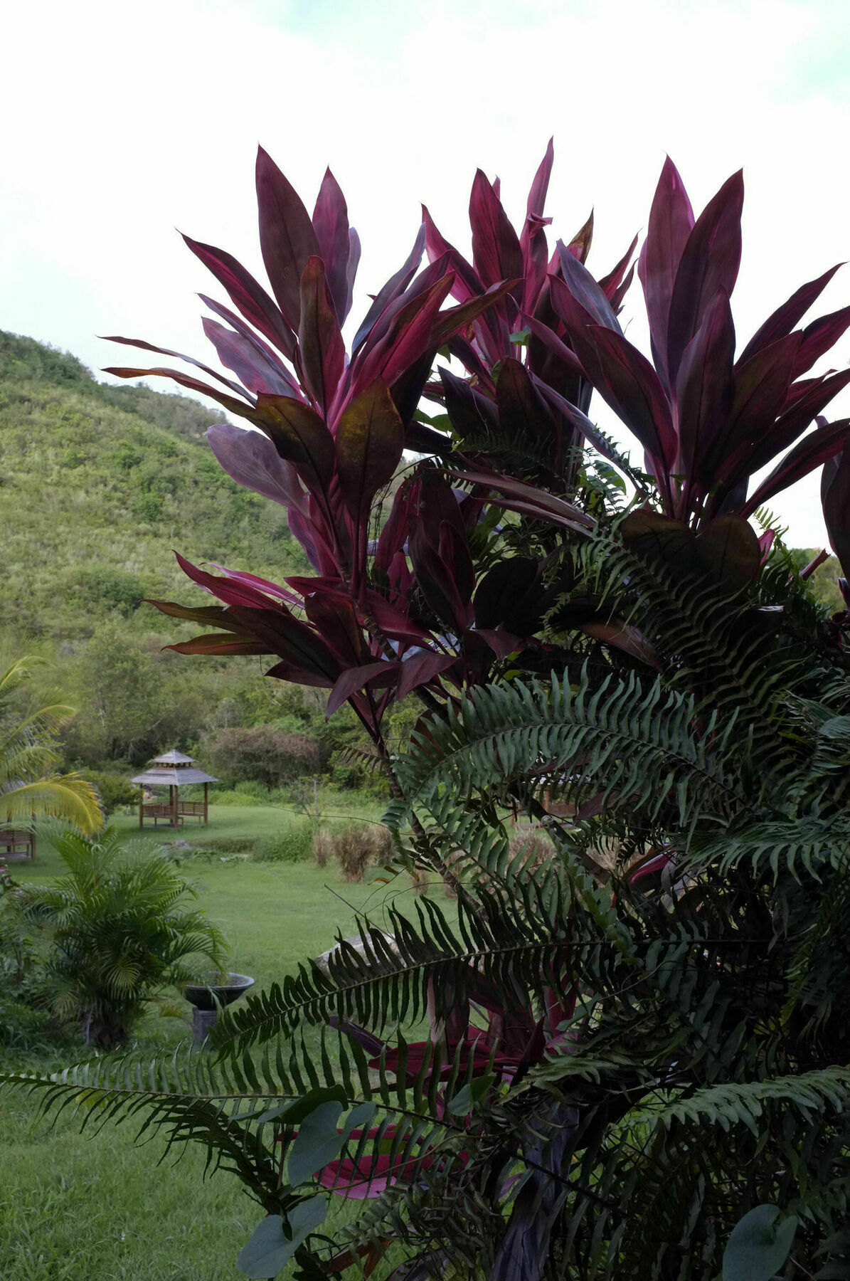 Hotel Domaine De La Palmeraie