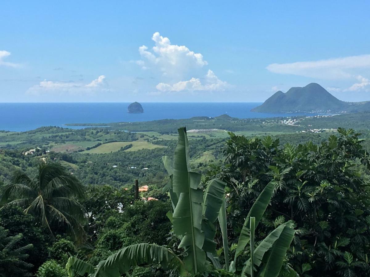 Les Pameyaque 2 F2 Avec 1 Piscine Et 1 F3 Avec 1 Piscine, Superbe Vue Sur La Casa de férias Riviere-Salee