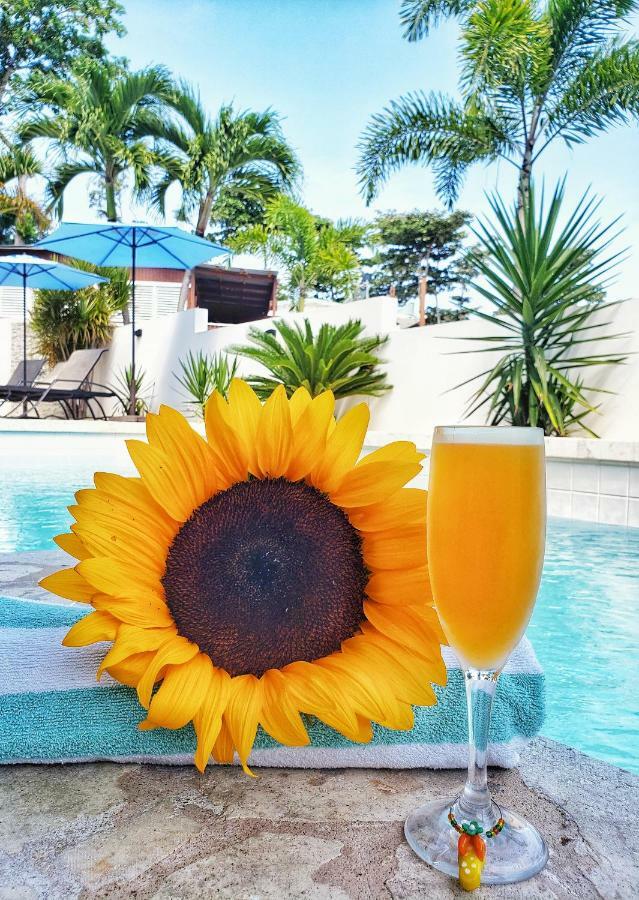 Hotel Casa
