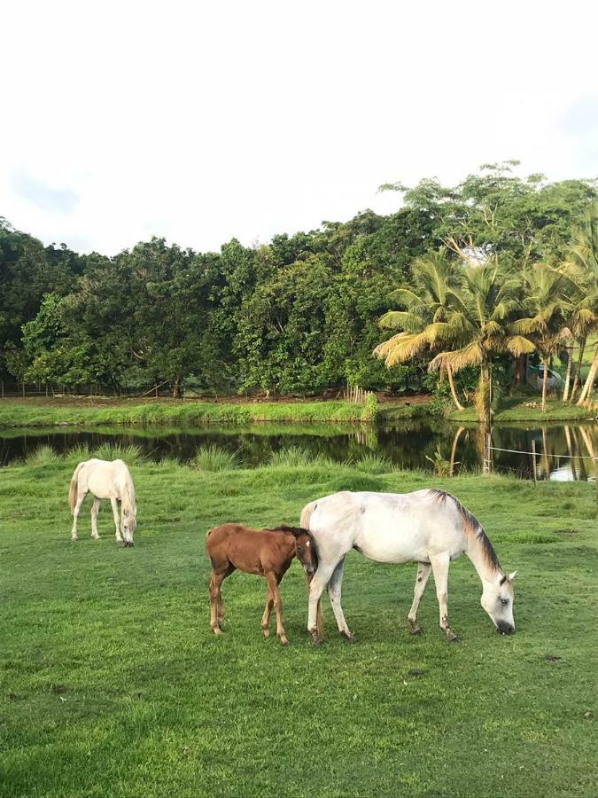 Holiday home La Ferme Des Etangs Riviere-Salee