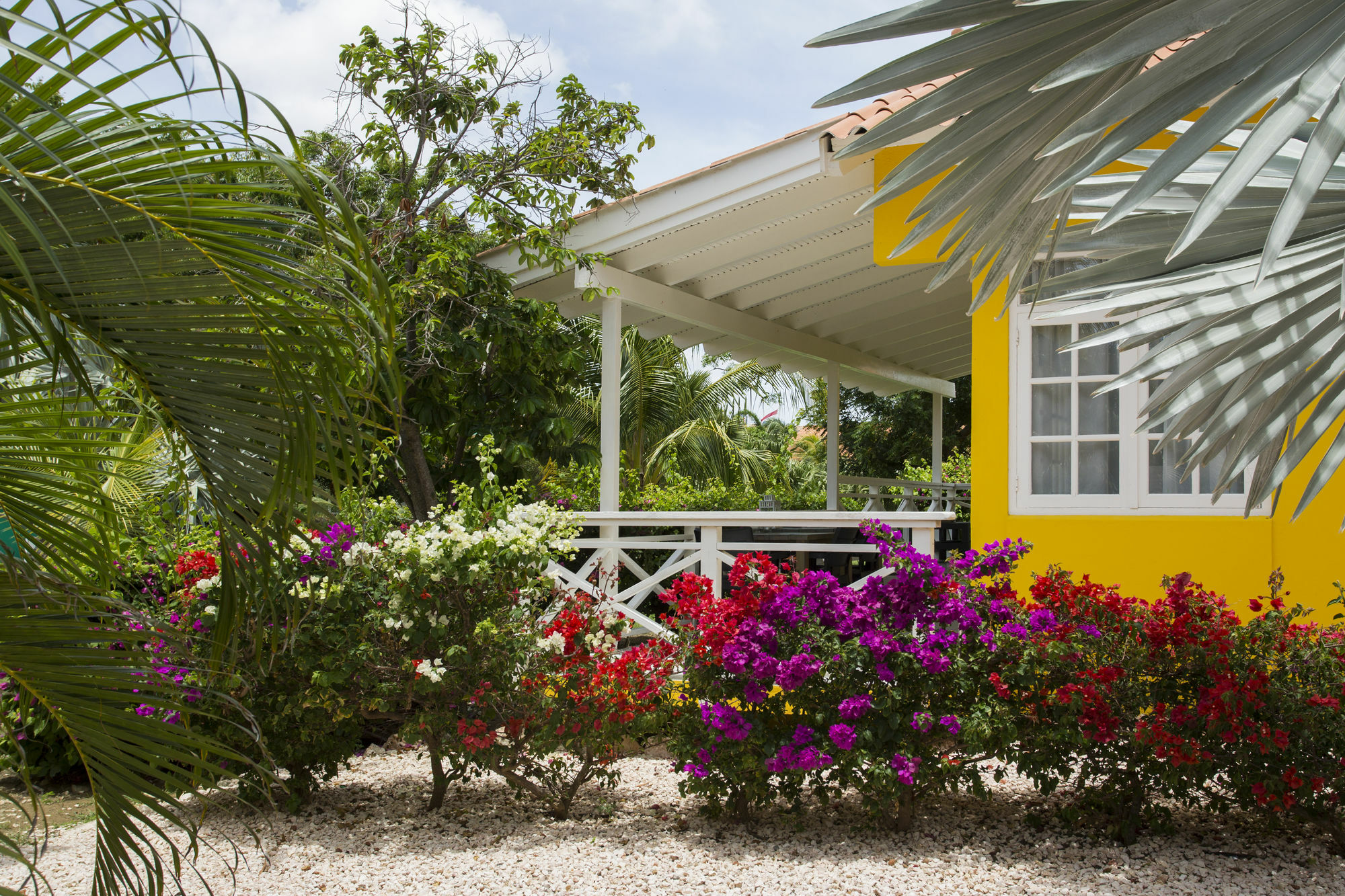 Bon Bini Curacao Holiday park