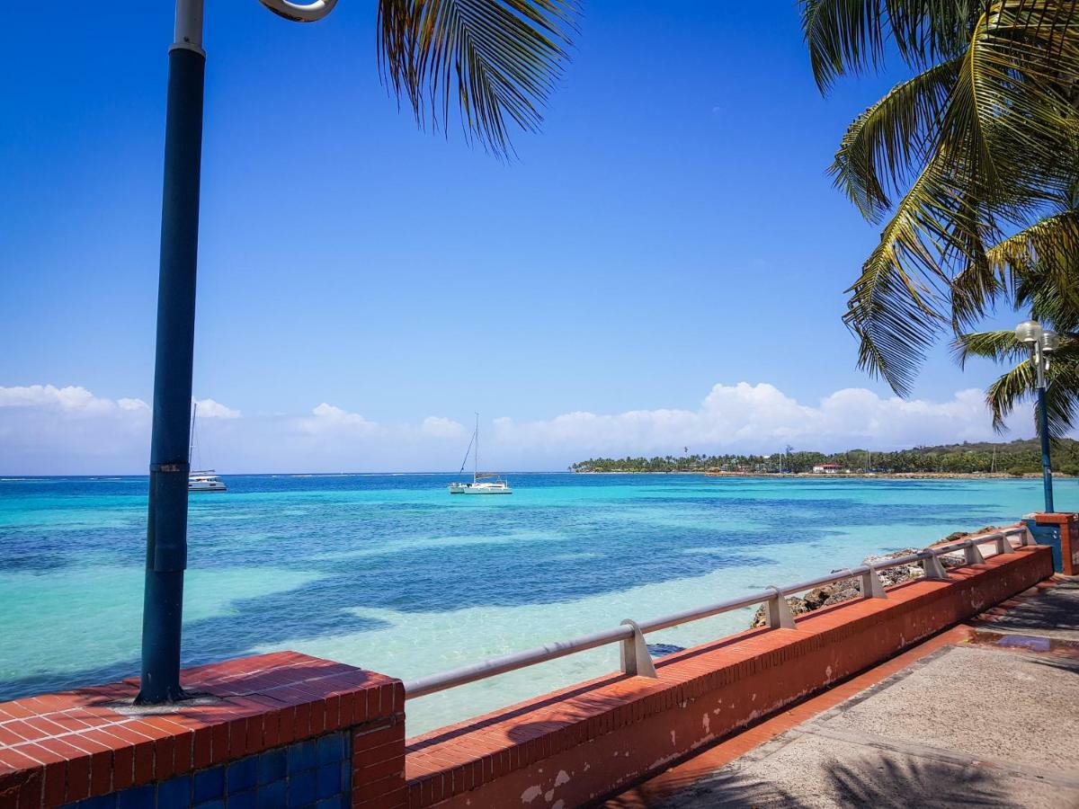 Blue Paradise *