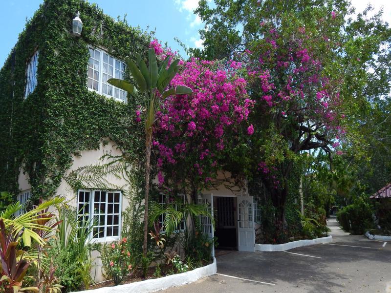 Hotel Mangos Jamaica Adults Only Falmouth