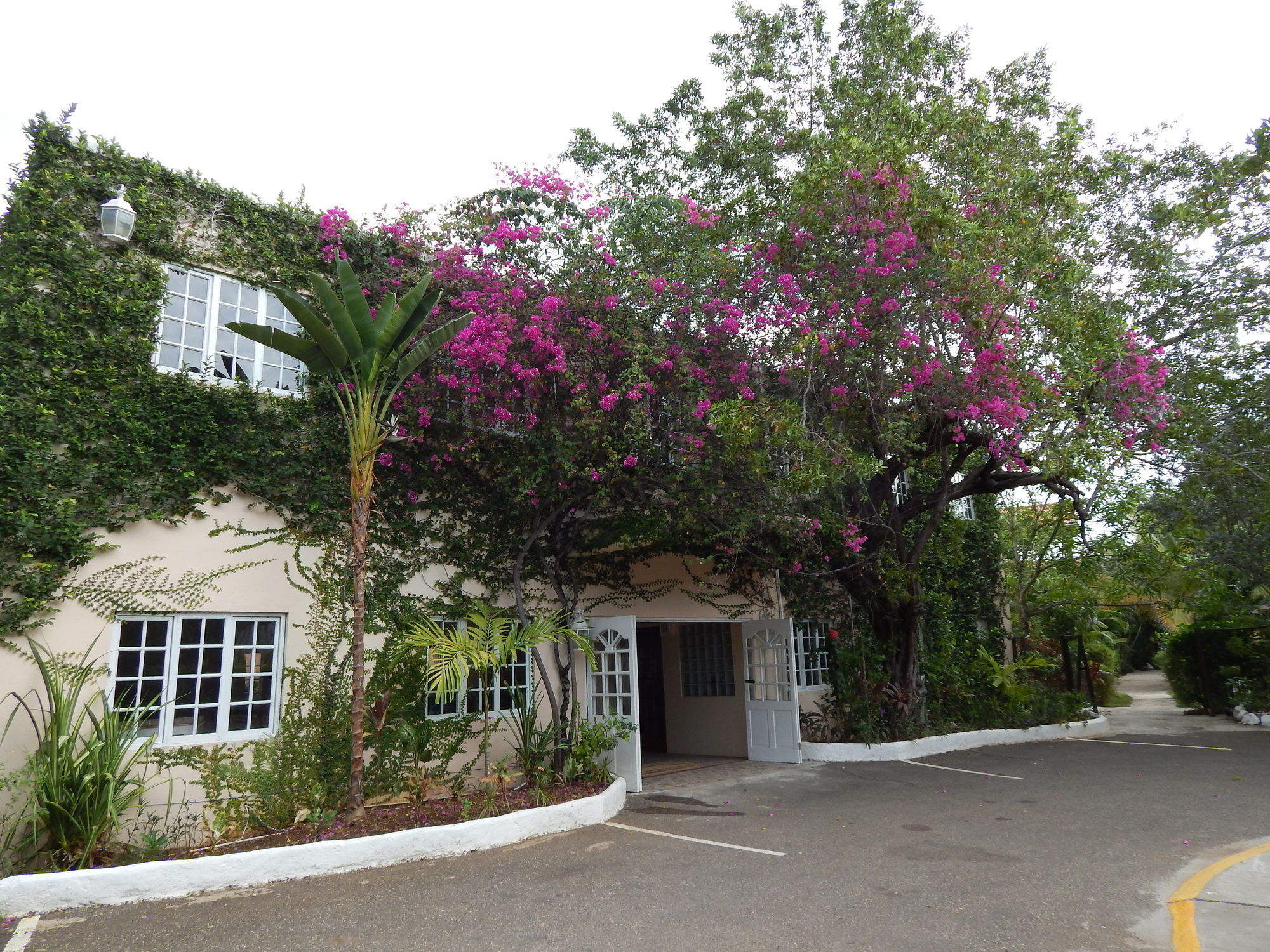 Hotel Mangos Jamaica Adults Only