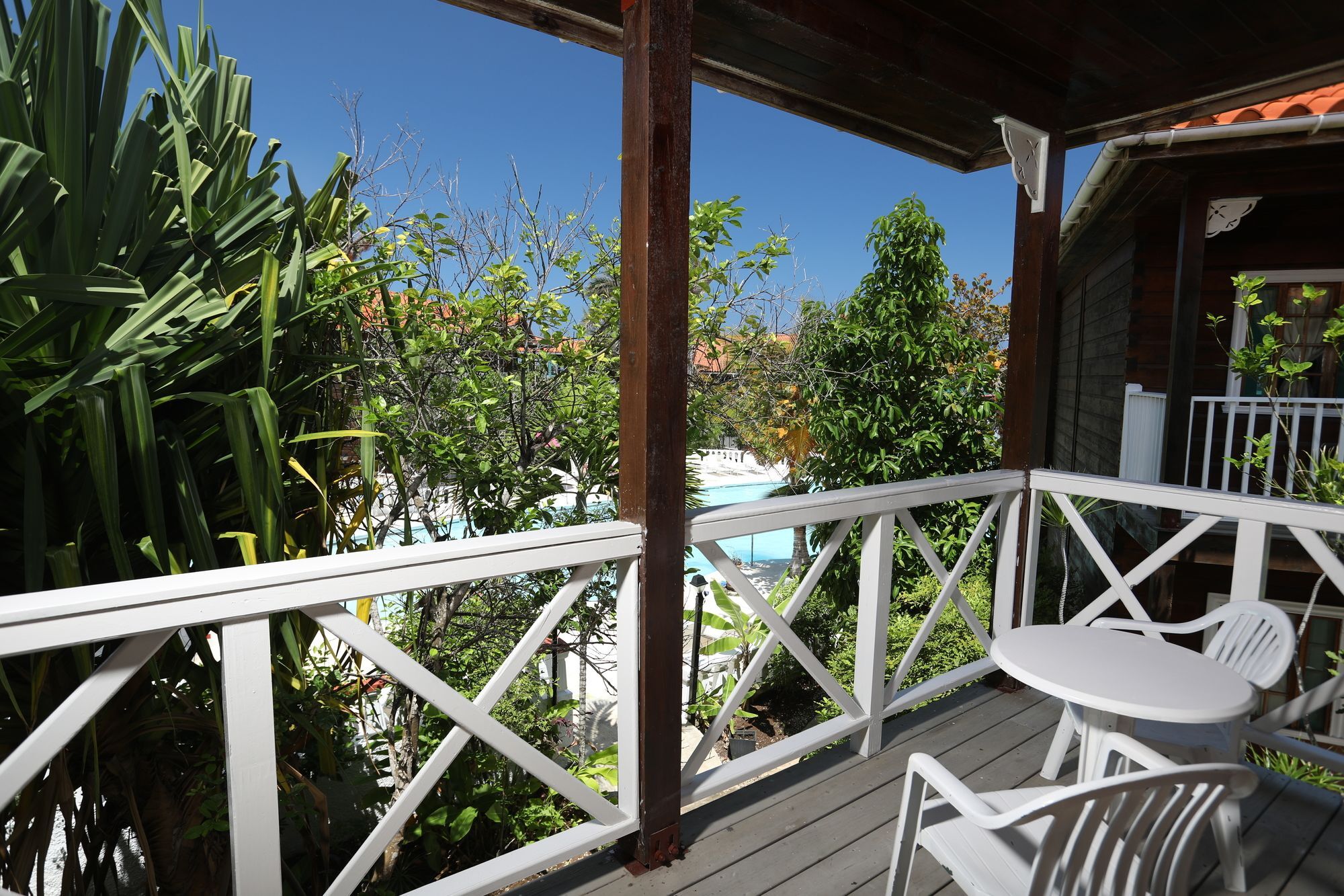 Mangos Jamaica Adults Only Hotel 3*