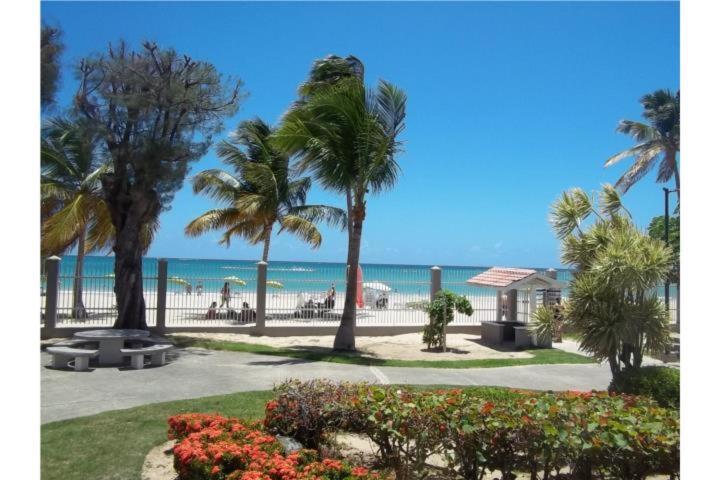Apartment Beach Front At Coral Beach *