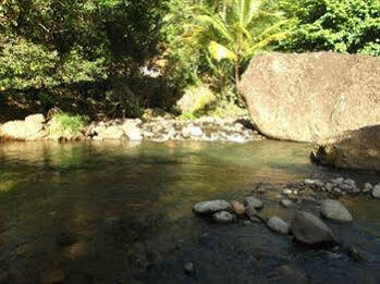 Serenity Dominica