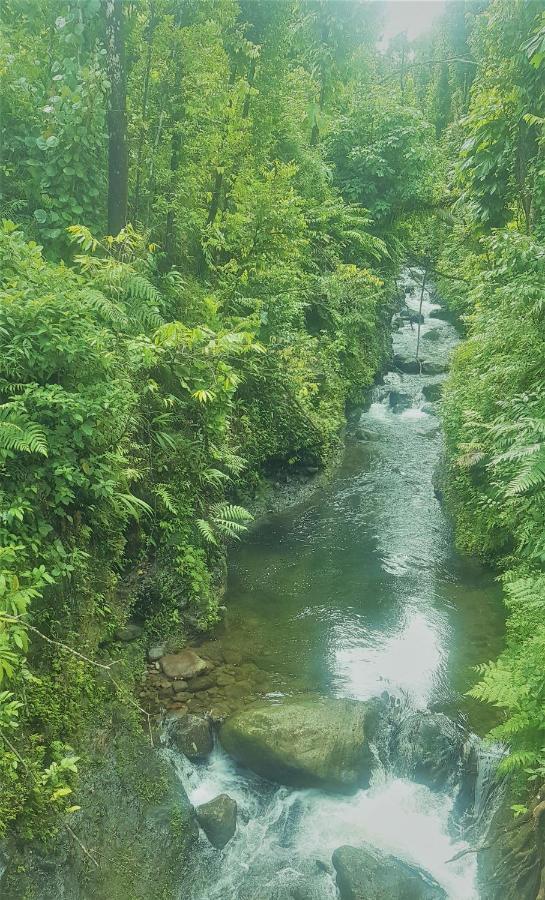 Serenity Dominica Marigot