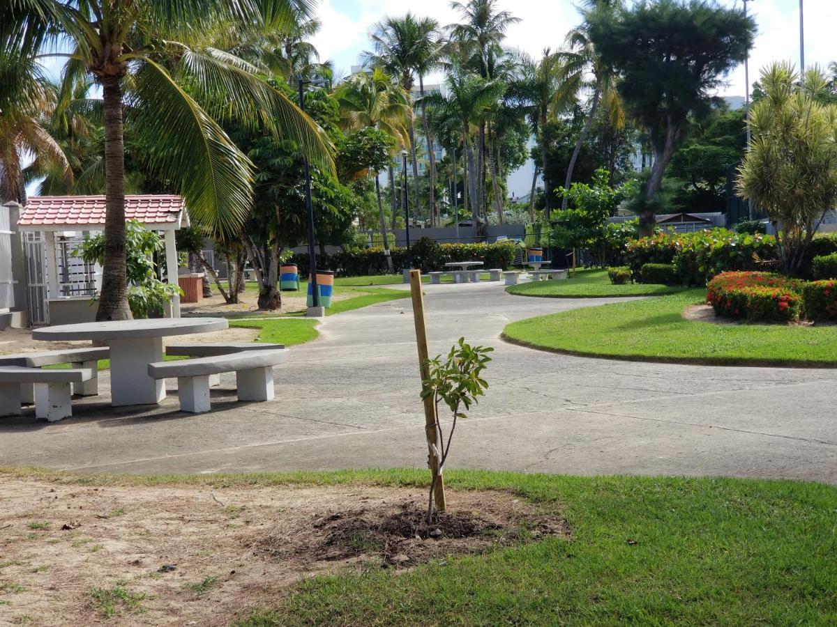 Apartment Beach Front At Coral Beach *