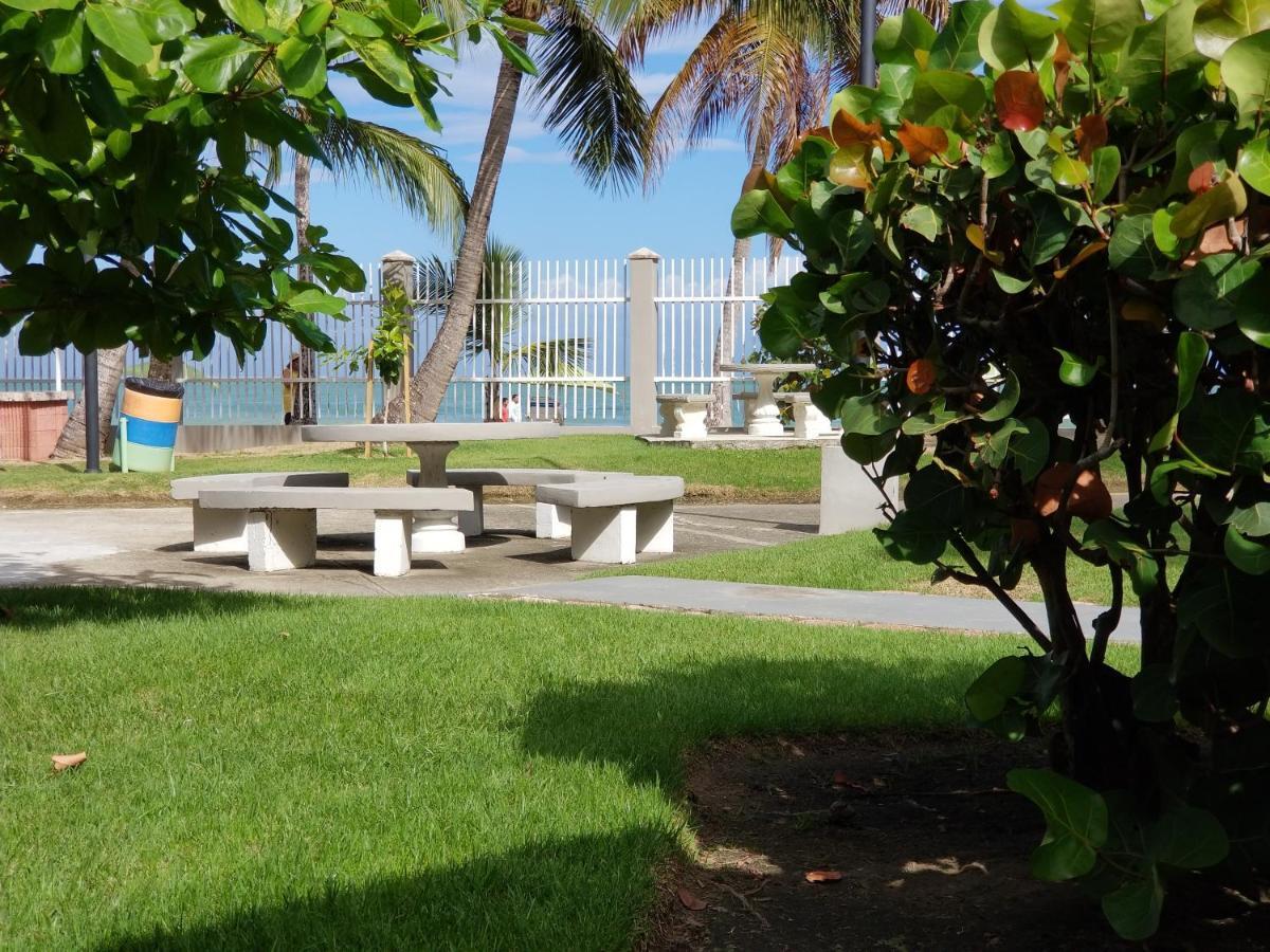 Beach Front At Coral Beach Apartment *