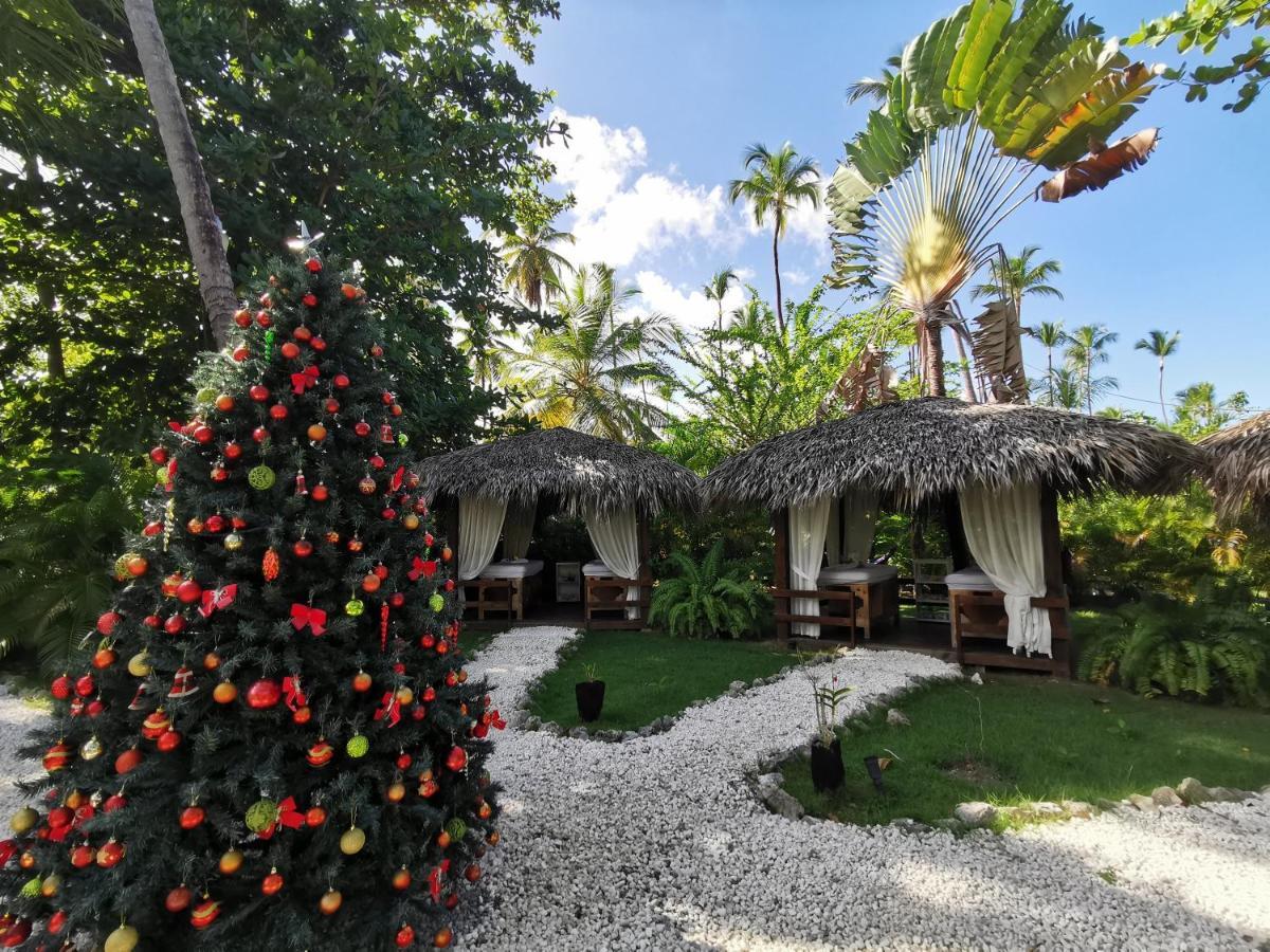 Hotel Tropical At Corales - Caribbean Fzco