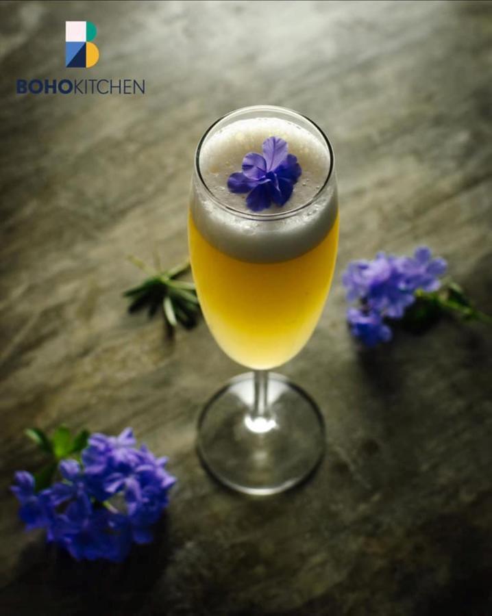 Boho Club Boqueron