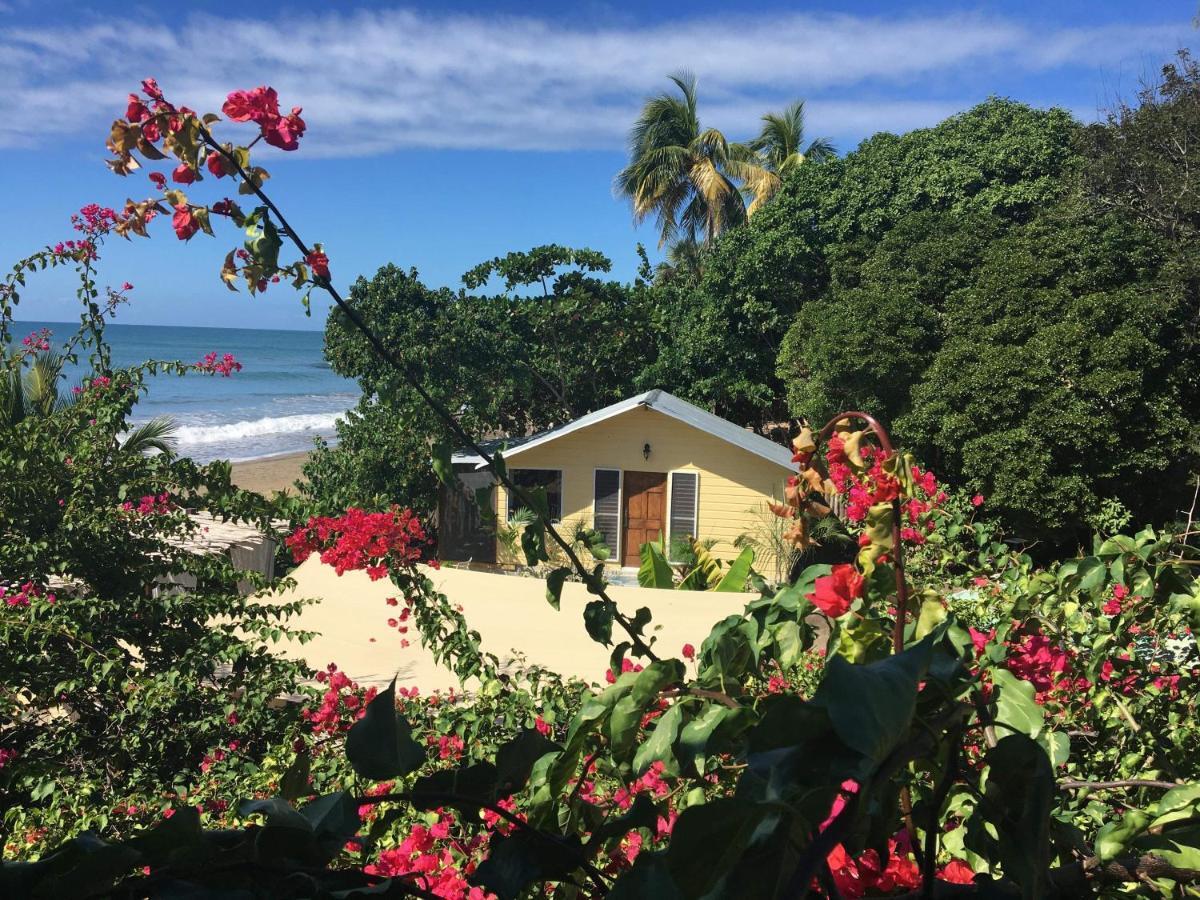 Katamah Beachfront Guesthouse Hotel