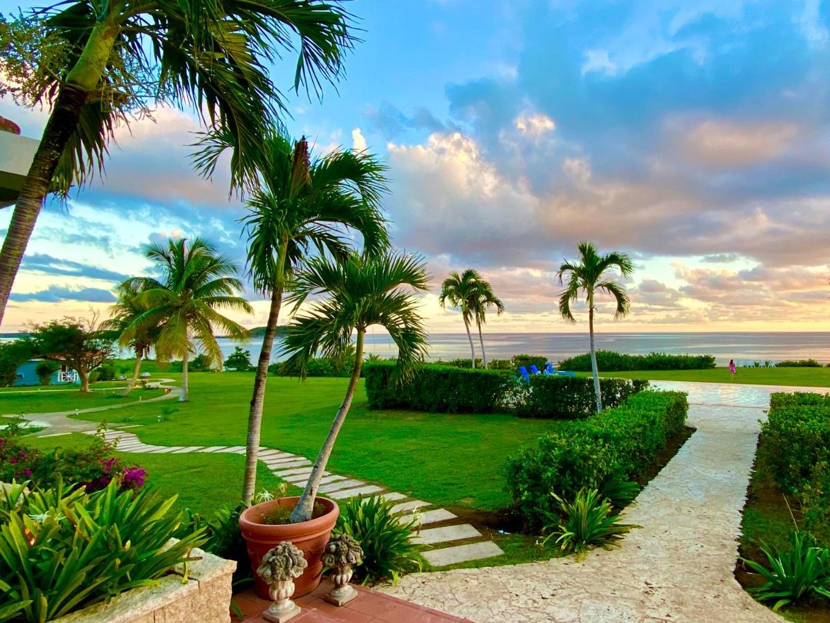 Blue Horizon Boutique (adults Only) 4* Vieques