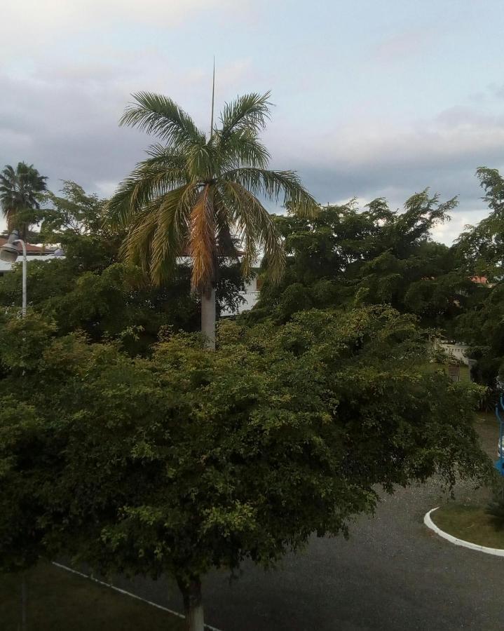 Acomodação com café da manhã  Sea Shell Palms,