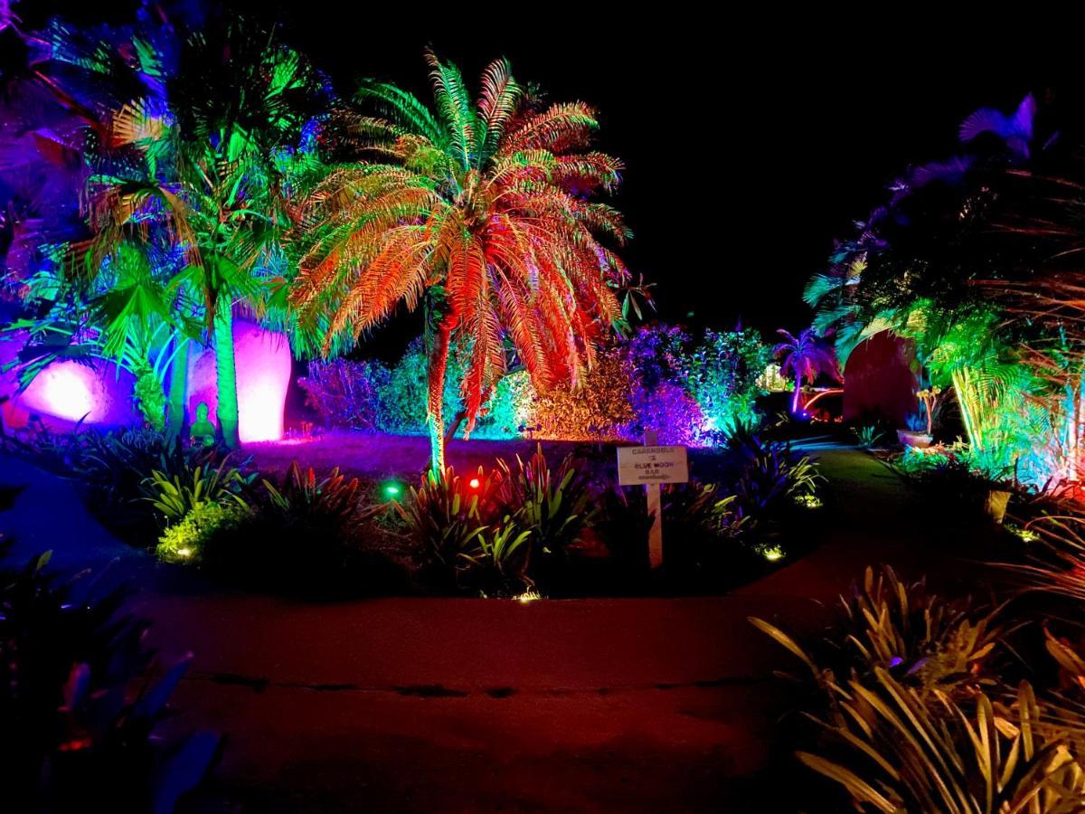 Blue Horizon Boutique (adults Only) 4* Vieques