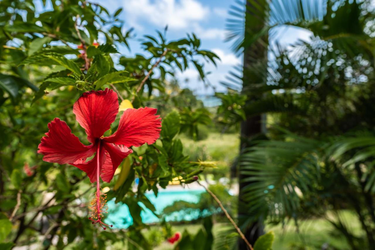 Hotel Firefly Estate Bequia