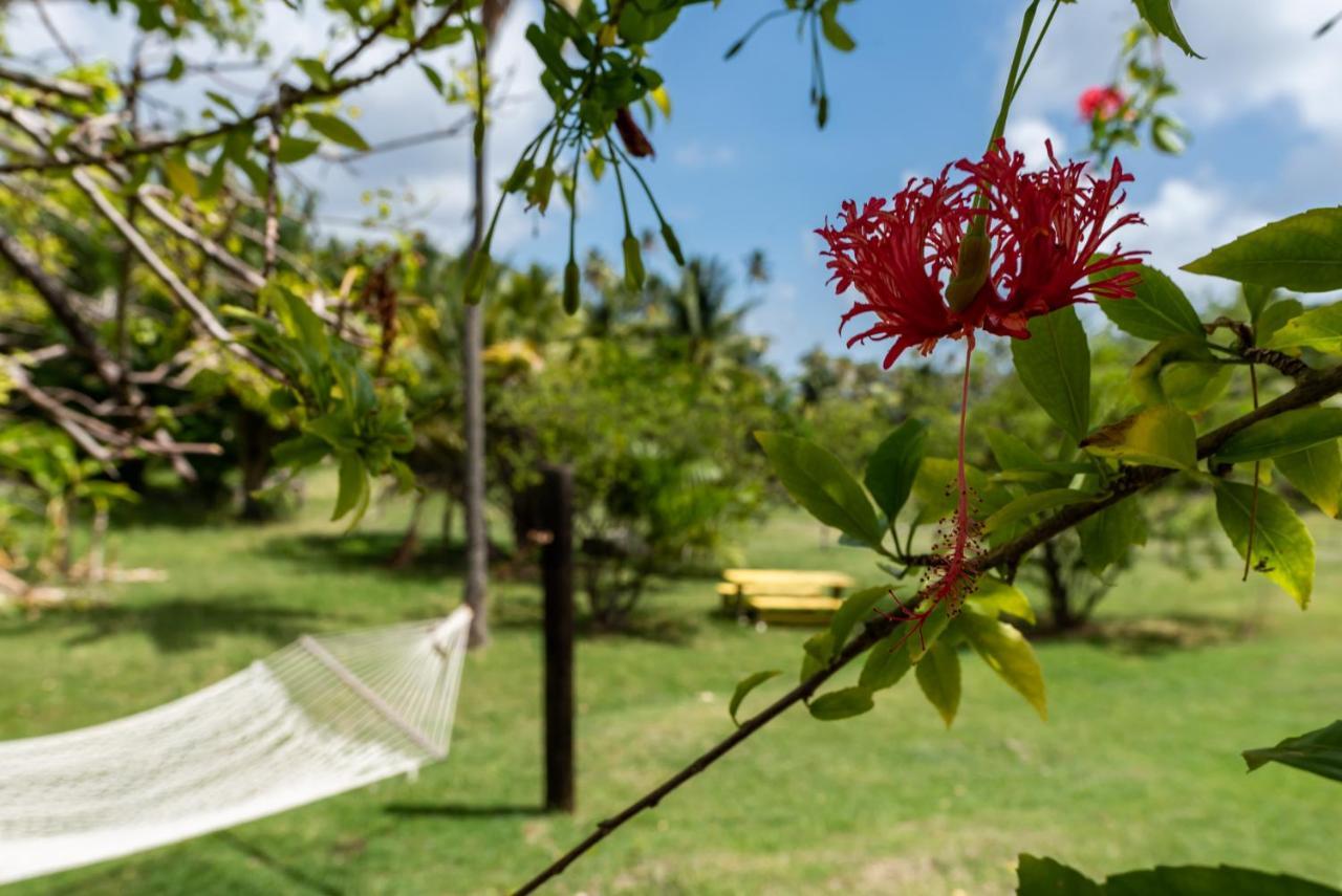 Firefly Estate Bequia Hotel 5*