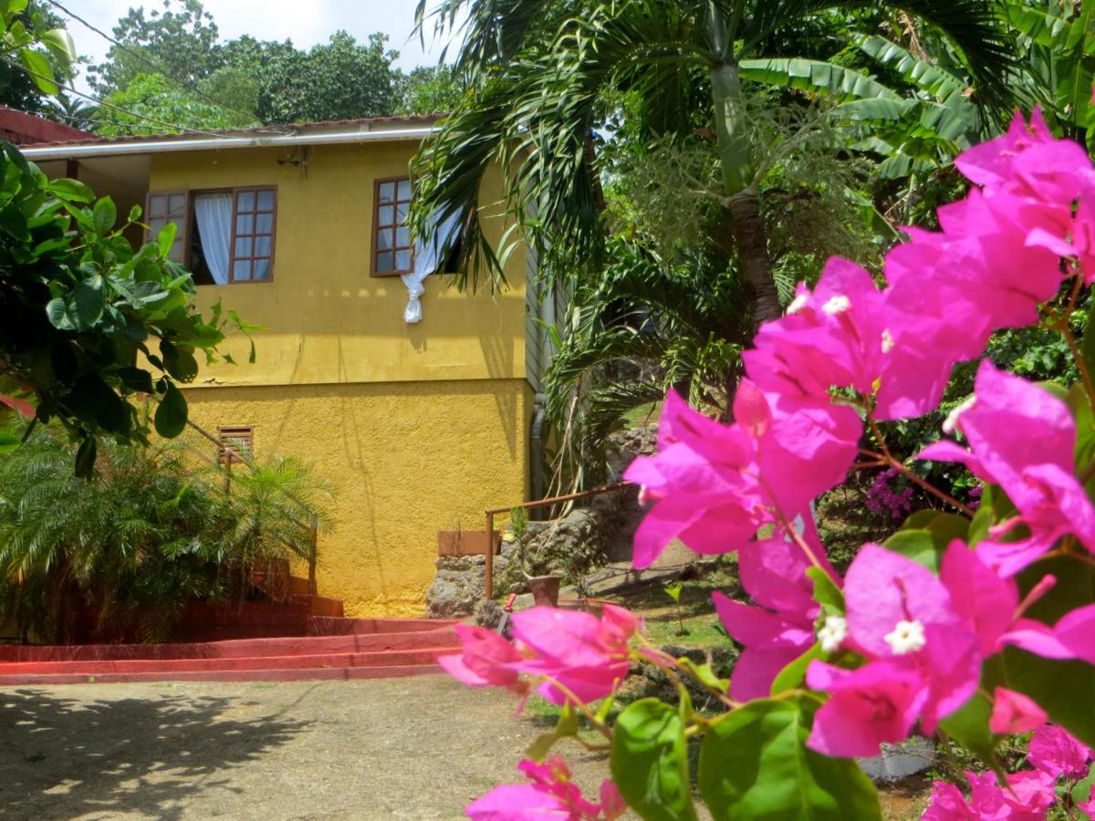 La Familia And Natural Farm Resort Port Antonio