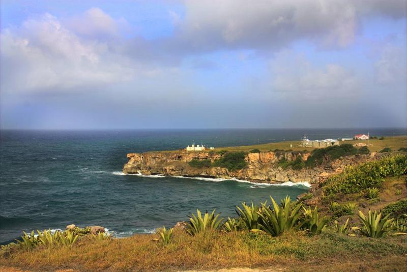 Apartment Tropical Winds