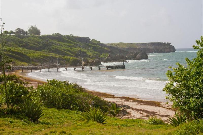 Tropical Winds Saint Philip