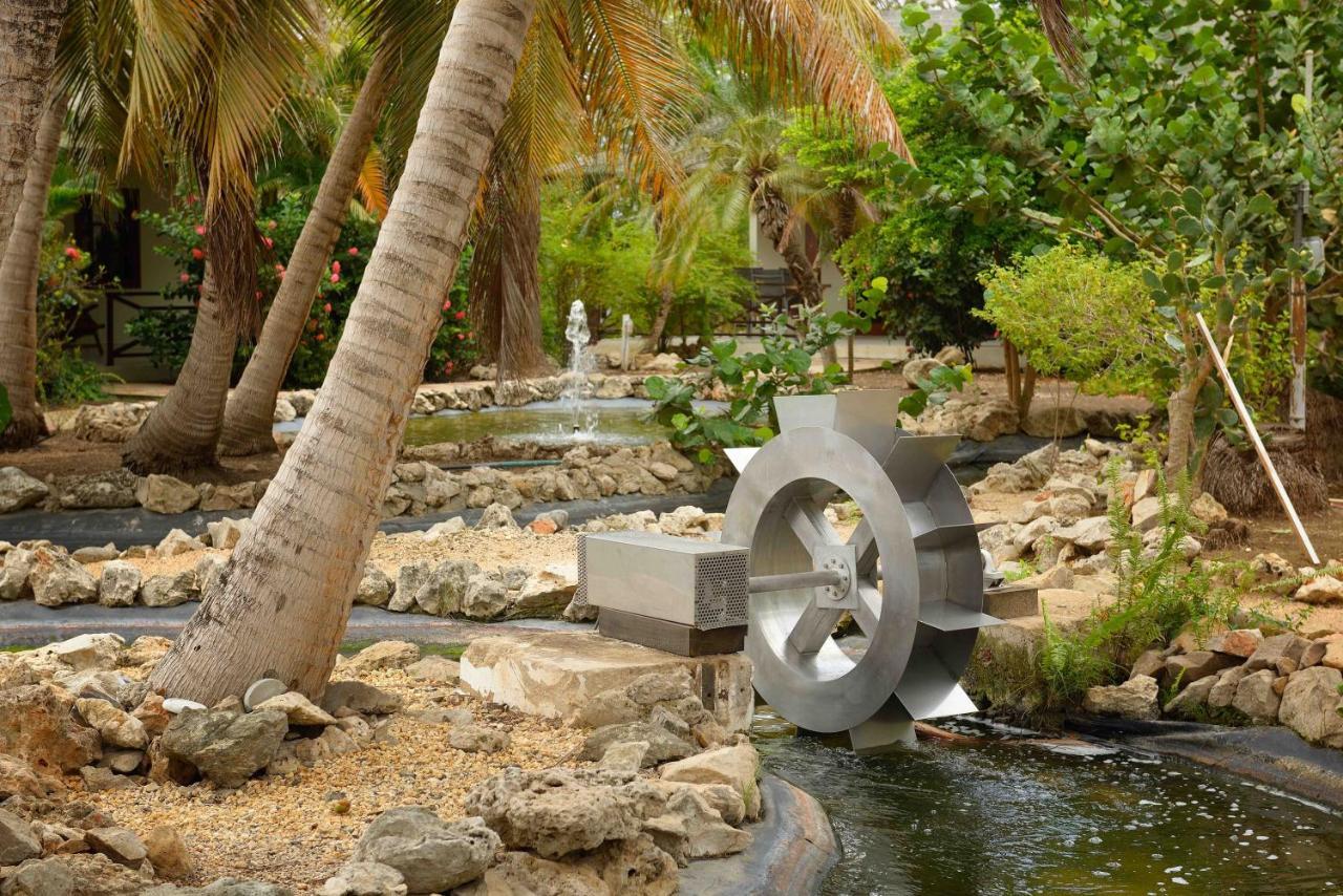 Captain Don's Habitat Hotel Kralendijk (Bonaire)