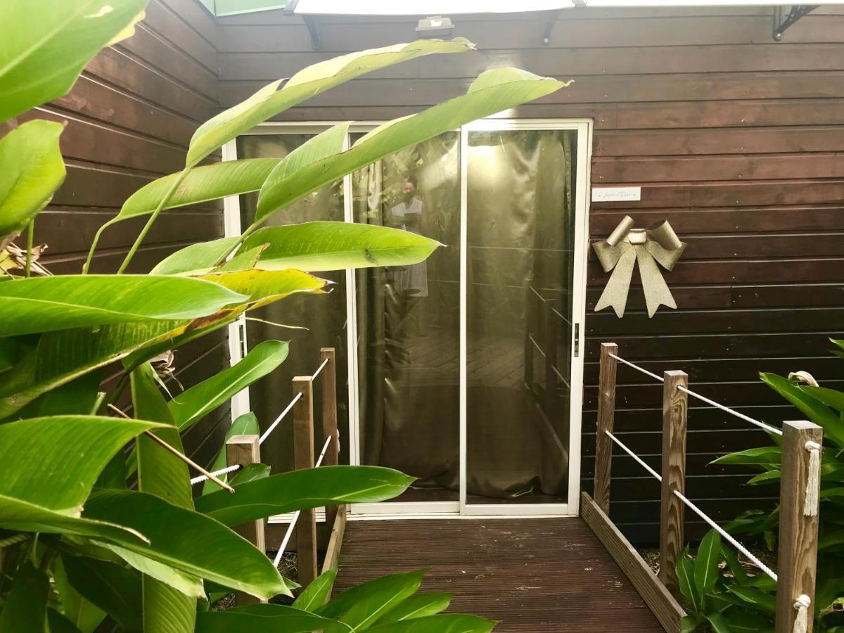 Eden Paradise Holiday home *