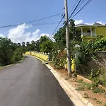 Pura Vida Jamaica