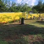 Pura Vida Jamaica