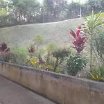 Escale Au Jardin Des Plantes