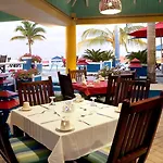 Negril Palms