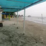 Arenamar