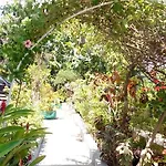 Palm View Guest House