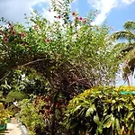 Palm View Guest House