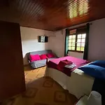 The Kapokier