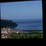 The Kapokier