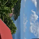 The Kapokier