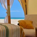 Wild Lotus Glamping