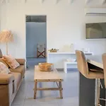 Maison Palmier Blanc