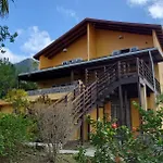 Kaye Mango