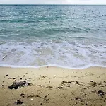 Taste Of Paradise