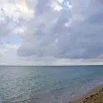 Taste Of Paradise