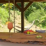 Cocotier, Elegant T3 Avec Jardin Tropical