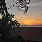 Palm Cottage