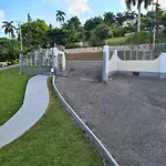 Rose View Apartment